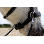 Edix ED2 Grace Sidepull Bridle